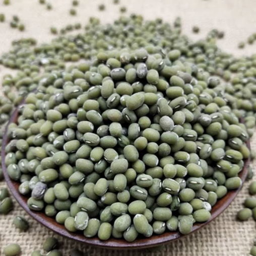 山东临沂毛绿豆农家自种