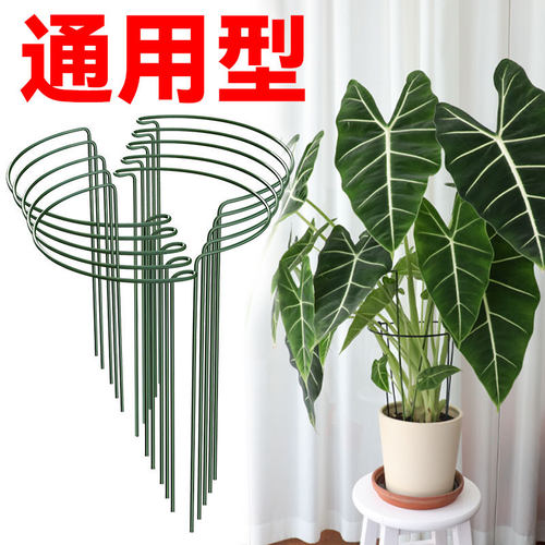 花支撑架花卉植物支撑杆花支架金钱树防倒伏绿植园艺天堂鸟花架子