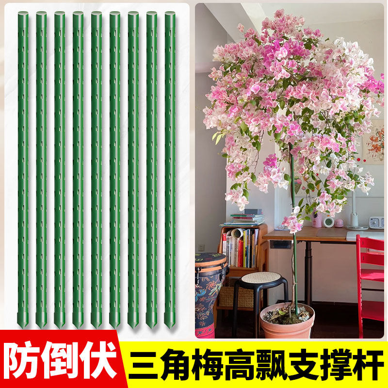 三角梅高飘支撑杆爬藤架图片