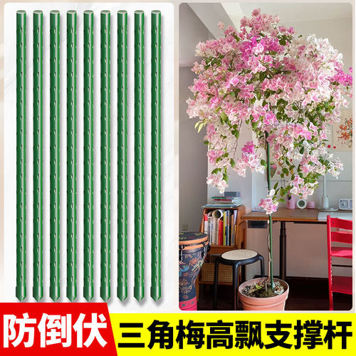 三角梅高飘支撑杆爬藤架