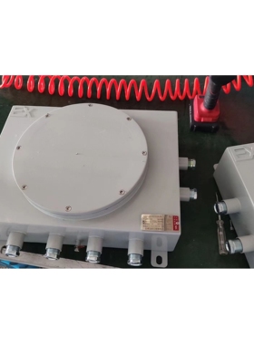 IIC  新款 防爆箱