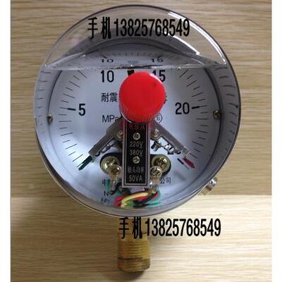 雷尔达耐震电接点压力表YNXC-100 抗震 防震带控制30VA  M20*1.5