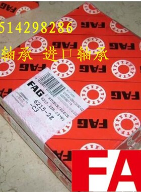 德国FAG进口轴承 393921E CS203 外皮弧形 弧形轴承CS203.2RSR