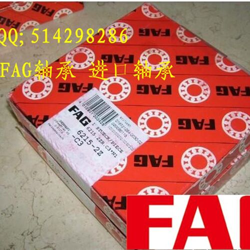 德国FAG进口轴承 393921E CS203 外皮弧形 弧形轴承CS203.2RSR