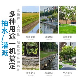 浙江丰源农用潜水泵家用小型抽水220V高扬程大流量灌溉水井抽水泵