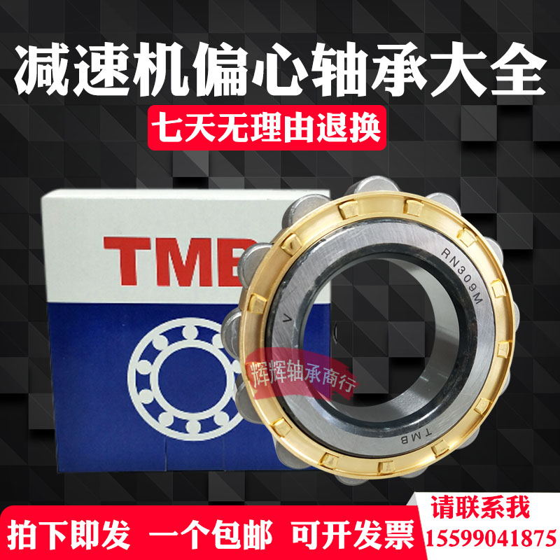 减速机偏心轴承 RN205 RN206 RN307 RN309 204 207 312 219 228 M