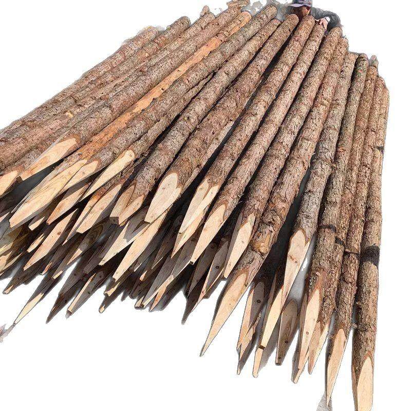 直发松木桩河道防汛防洪加固打桩木水利工程绿化支撑用原木4米6米