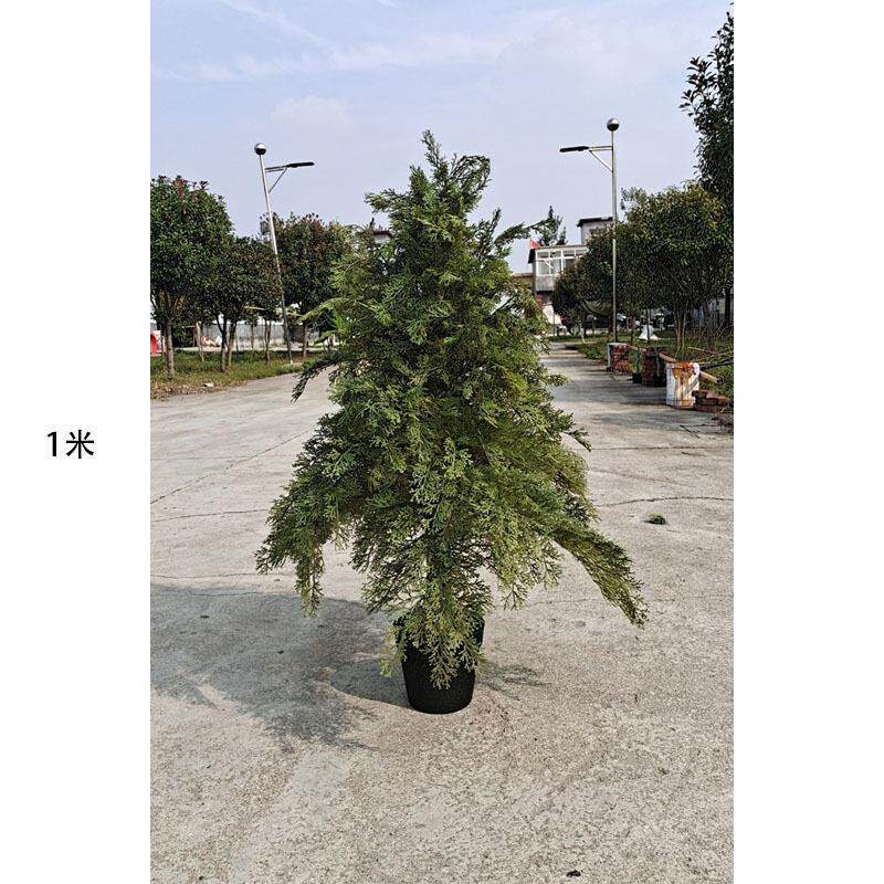 仿真植物柏树绿植盆栽白树圣诞树园林工程装饰塔型松柏树厂家