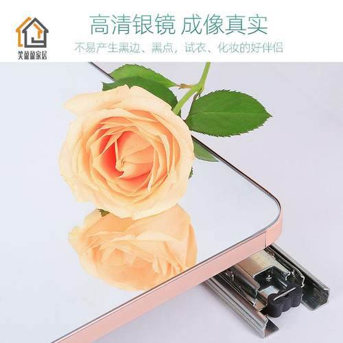 衣柜镜子轻奢内装隐形推拉内置旋转伸缩折叠内柜一体全身穿衣试衣