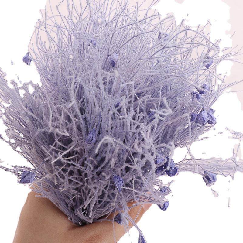 永生梦幻草干花花束龙须草仙女气质ins北欧装饰摄影道具diy配材,家居饰品,餐桌花艺,淘宝优惠券,粉丝福利购,淘宝优惠卷