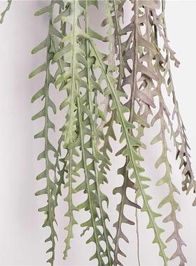 北欧风彷真绿色植物鱼骨令箭 婚礼花艺蕨芽藤耶诞节花环装饰 意境