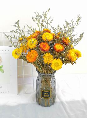 云南天然风干 干真花雏菊干 干燥花花束ins网红装饰摆饰diy文艺插