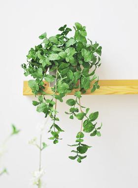 九思 仿真垂吊植物盆栽 书架置物架吊兰花艺 北欧室内装饰art341