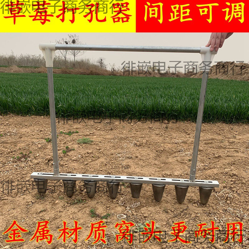 打眼辣椒种植莓农用定植蔬菜器移栽移苗打窝器栽苗打孔