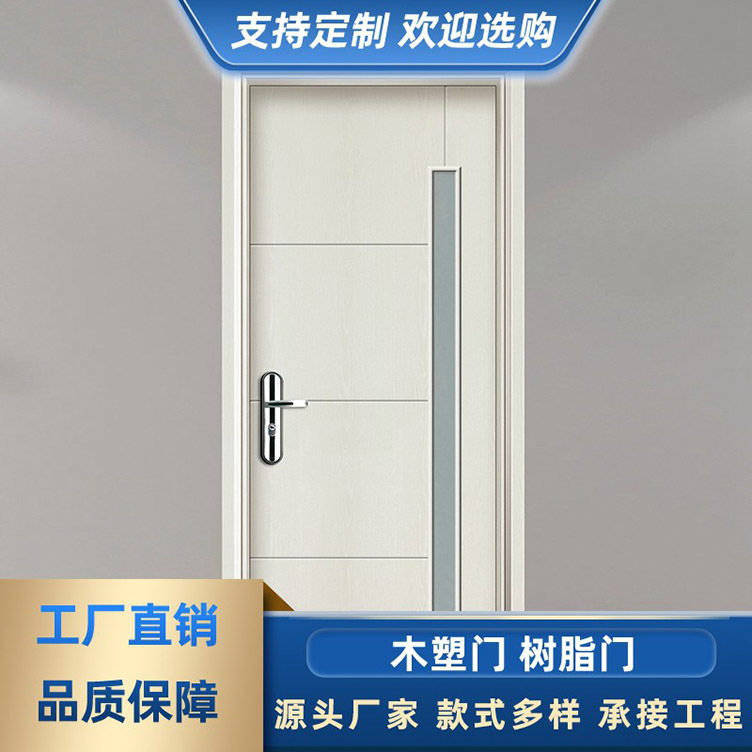 出租房屋进入户树脂门 室内房间卧室防盗安全门 喷塑门铁门阳台门