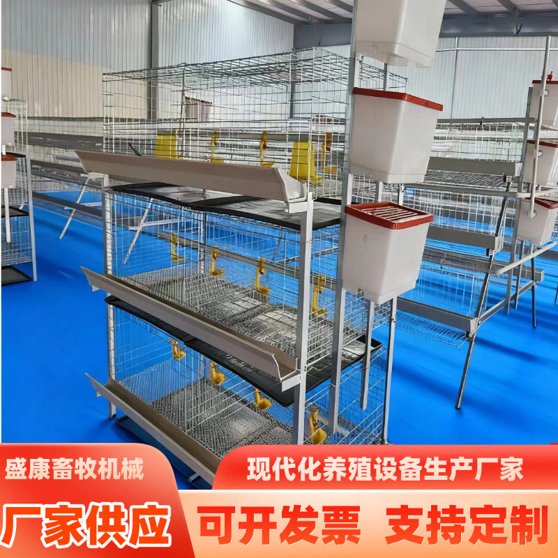 自带水箱肉鸡笼3层一体立式鸡笼肉鸡笼养鸡设备养殖场叠式肉鸡笼