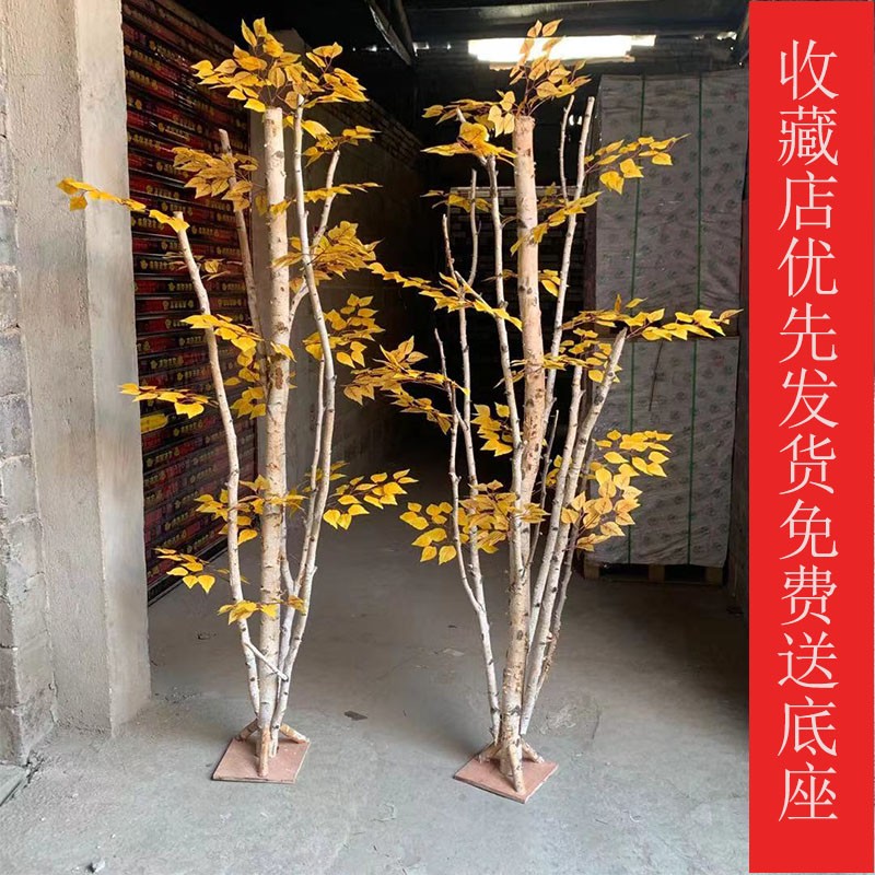 干树枝白桦树隔断假树枝干装饰白桦木屏风造型树枯树室内摆放干枝