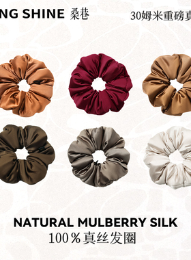 桑巷sangshine雅丹色系100%桑蚕丝真丝填充枕头睡觉睡眠发圈大肠