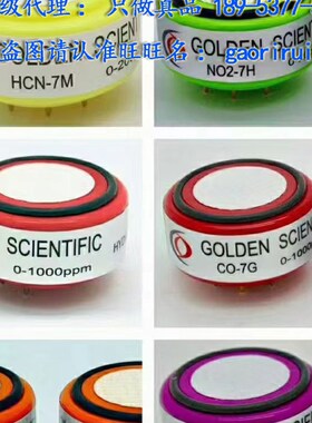 O3-4G O3-4GM O3-4MR -4M -4ML-4L-4XL 403-5000-4XXLH臭氧传感器