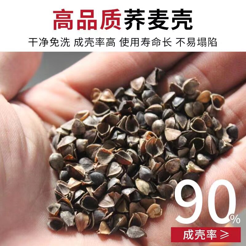 纯荞麦壳枕头单人宿舍硬枕芯带枕套护颈椎荞麦皮单个装助睡眠男