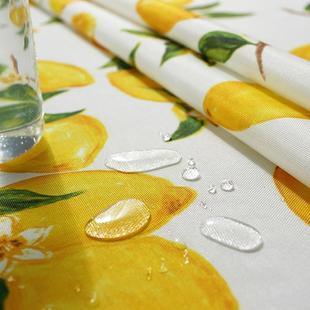 饰桌子餐垫幼儿园书桌桌布罩水果花卉摆摊野餐布 北欧防水防油装