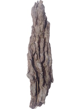 青龙石天然石英石鱼缸造景石材盆景石抱附树石客厅玄关庭院石摆件