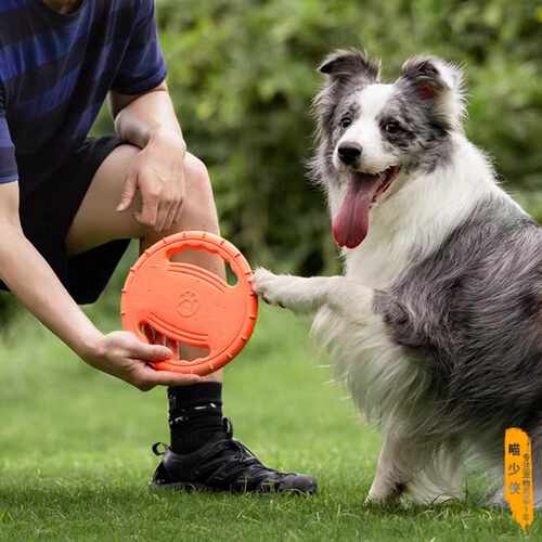 户外训练大型犬边牧金毛专用磨牙飞盘宠物互动拔河小狗狗玩具