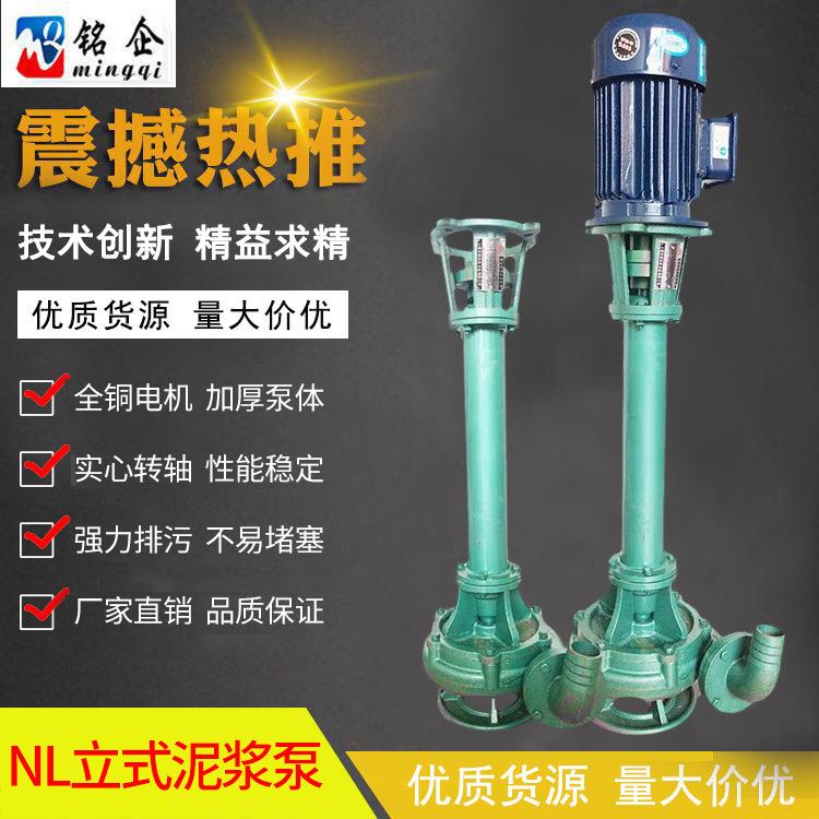 NL立式泥浆泵耐腐蚀边立式铸铁液下淤泥排污泵NL50-12-3KW2寸