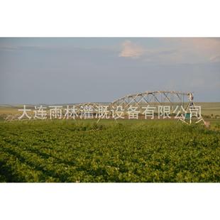 雨林线下厂家现货供应大型卷盘式喷灌机浇灌机喷灌设备排灌机械