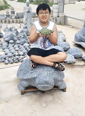 定做天然青石龟石雕乌龟石头小石龟长寿龟母子龟金龟池塘景观摆件
