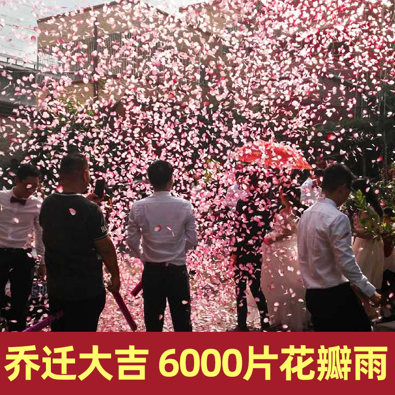 速发婚礼婚庆礼筒炮花瓣雨礼炮手持礼花筒手拧礼泡筒喷花结婚用品