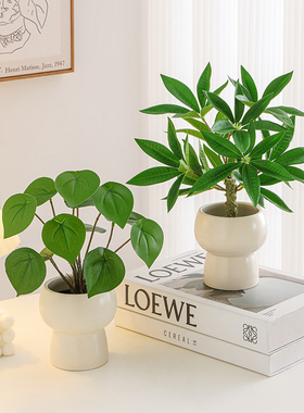 速发盆植盆景摆件玄关客厅家居桌面绿景装饰品室内栽观布置品