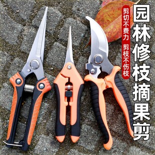 嫁接工具全套家用修枝剪果树专用剪子鲜花园艺剪不锈钢剪树枝绿化