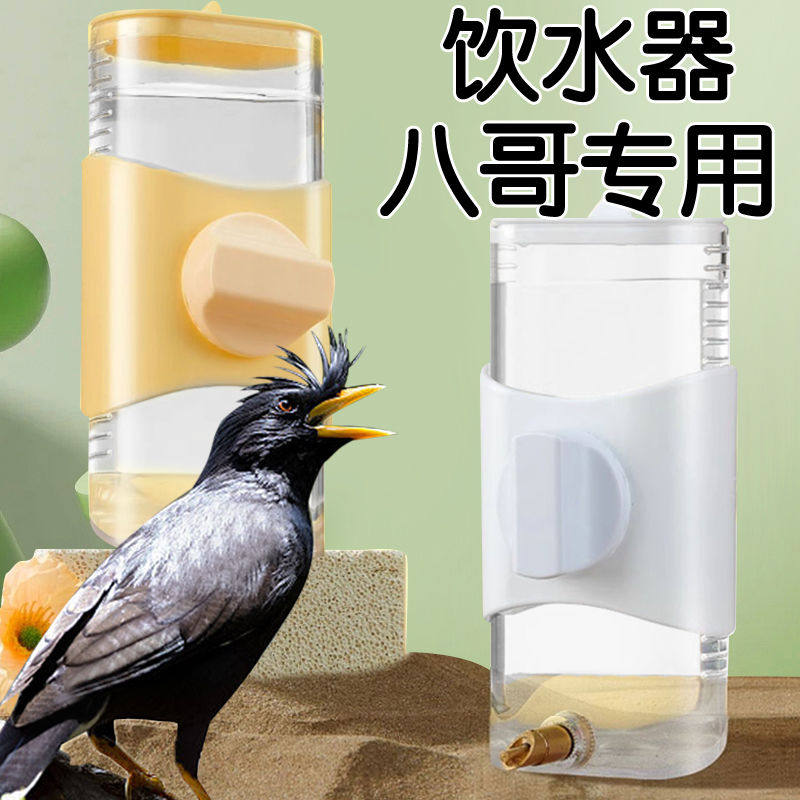 八哥专用饮水器自动喂水小鸟用喝水神器绣眼鹦鹉撞针水壶用大全
