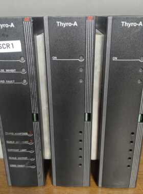 议~德国Thyro-A电源调功器3A-400-45HRLP1议价
