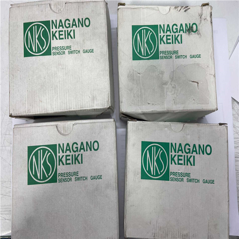 长野计器 AE10-183 AU3/8*100 1MPa(崽崽配件）