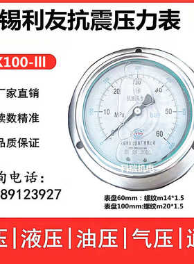 无锡利友抗振压力表YK60IIIYK100III 40mpa轴向带边油压表m14*1.5