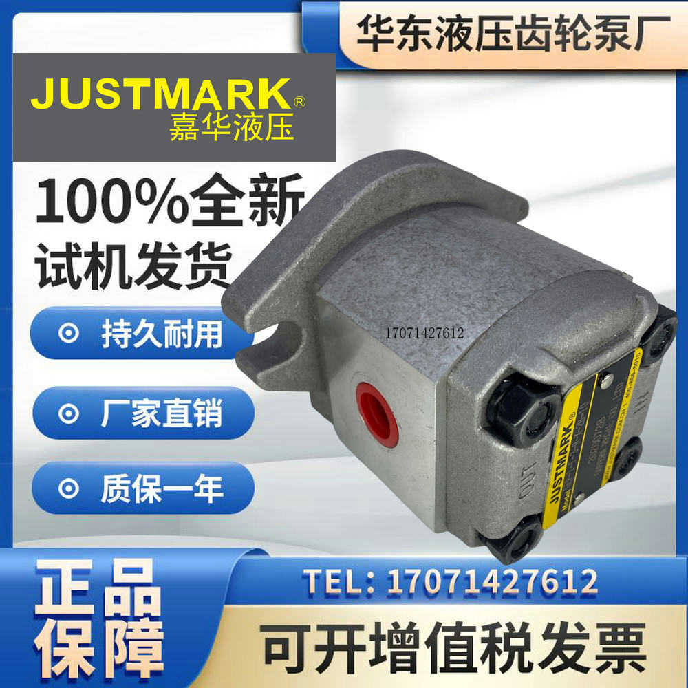 台湾嘉华JUSTMARK齿轮泵P-1-F-3-R-X-2B-10高压油泵P-1-F-6-R