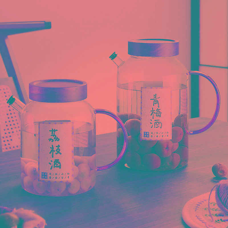 青梅泡酒玻璃瓶家用高档专用密封泡酒罐空瓶酿酒瓶装酒容器果酒坛