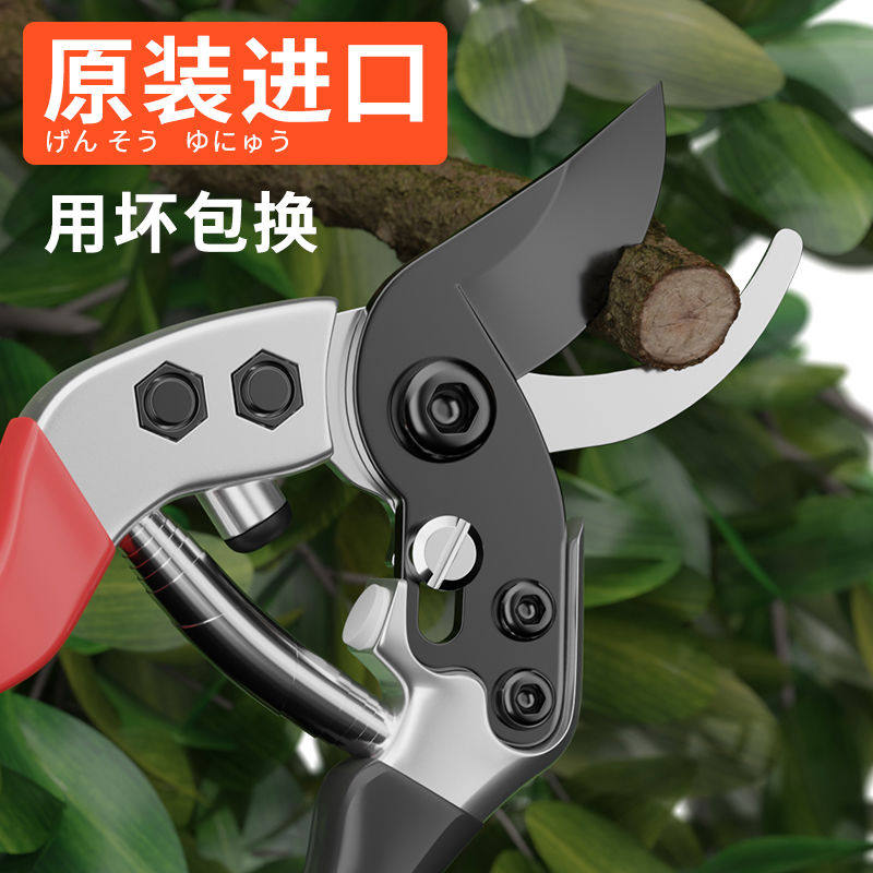 日本进口修枝剪园艺剪树枝专用剪刀花艺修剪花卉剪花剪子果树