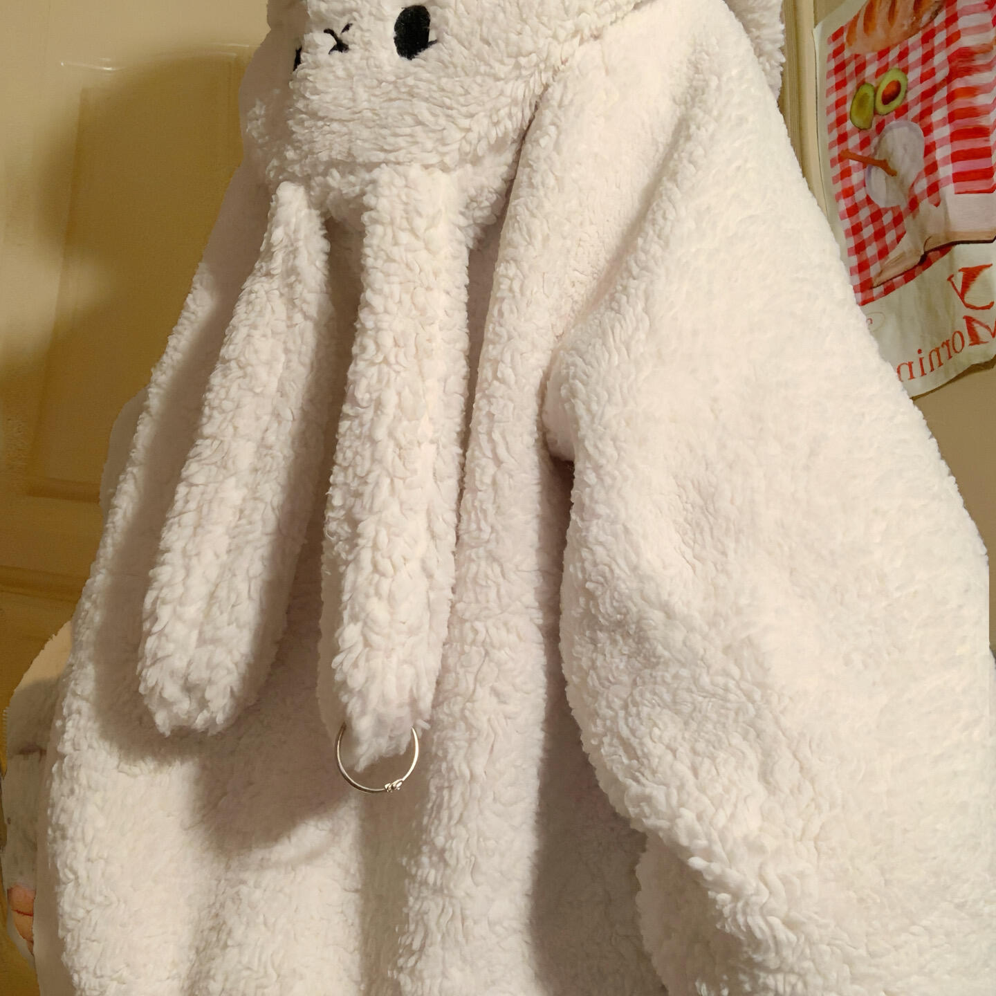 奶呼呼兔子耳朵羊羔绒棉衣外套女