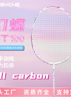 PSYCHE全碳素QT100羽拍26磅训练轻碳素纤维5U成人羽毛球拍单双拍