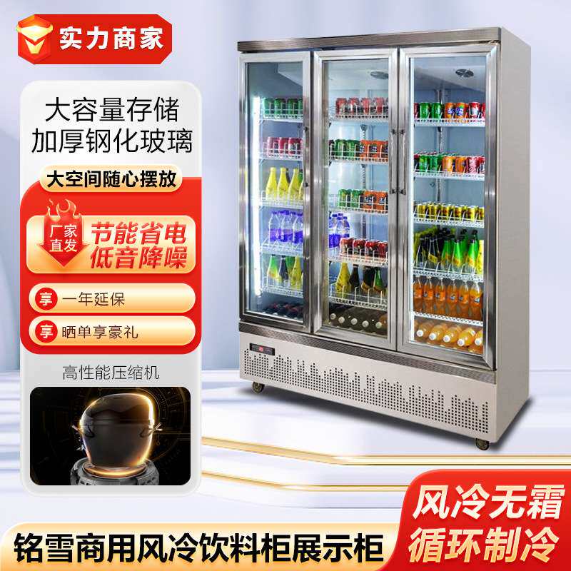 铭雪风冷饮料柜展示柜鲜花保鲜柜超市酒店商用冷饮啤酒柜鲜奶冰柜