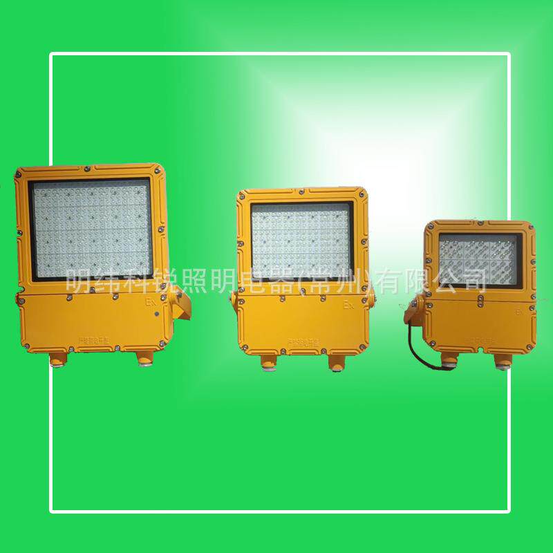 LED防爆泛光灯BFC8119-200W投光灯BFC8119防爆投光灯30°角度