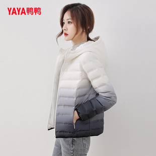 鸭鸭羽绒服女短款 小个子渐变轻柔百搭连帽外套 2024年秋冬新品