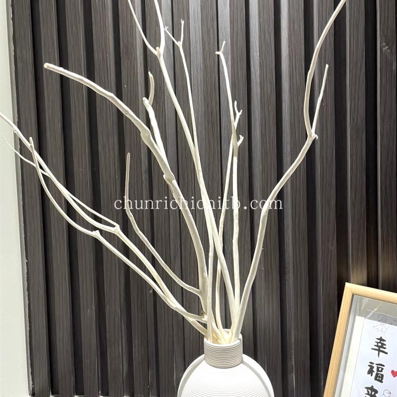 天然白色枯枝侘寂风软装家居干树枝花艺装饰高级感桌面插花摆件