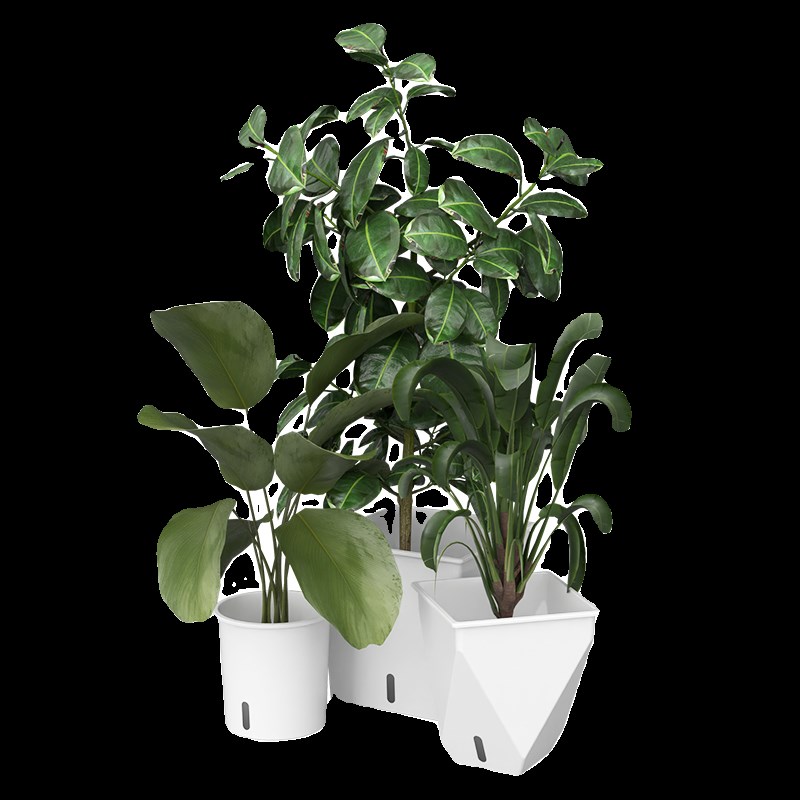 办公室吸水花钵酒店大号储水盆商场绿植懒人花盆家居摆设塑料花箱