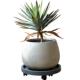 简约圆形花盆镁泥材质透气客厅商场地面装 饰花器室内外花园绿植盆