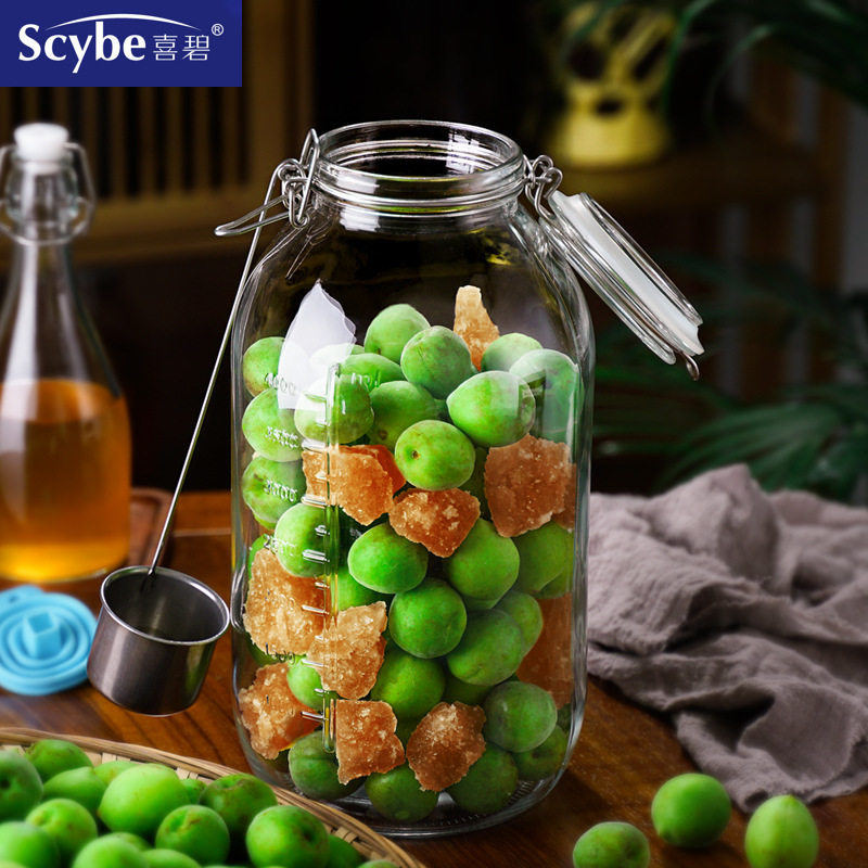 酵种培养皿鲁邦种发酵罐天然酵母玻璃密封储物刻度瓶子带盖