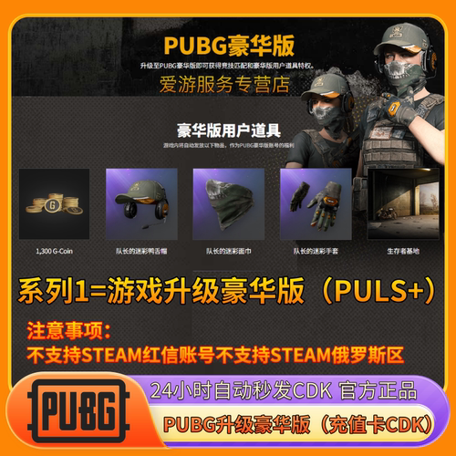 Steam绝地求生打排位号升级豪华版PUBG激活PLUS+CDKG币新手礼包